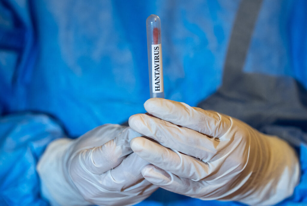 Presa maghiara, îngrijorata de cazul din România: Hantavirusul a ajuns la granita